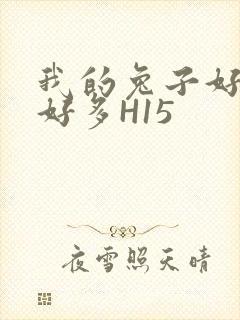 我的兔子好软水好多H15封面