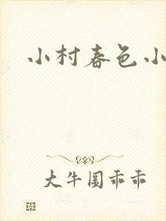 小村春色小说