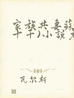 家族共妻苏苏(十千)小说免费