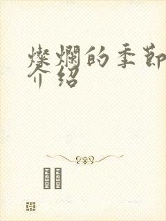 灿烂的季节剧情介绍封面