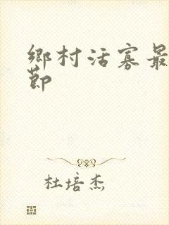 乡村活寡最新章节