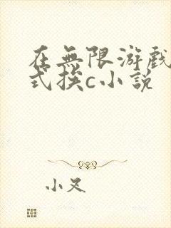 在无限游戏里花式挨c小说封面