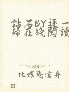 钻石BY逐一而归在线阅读