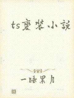 ts变装小说