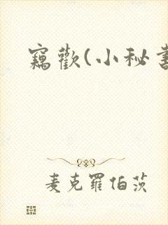窃欢(小秘书)