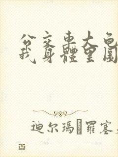 公交车大龟廷进我身体里图封面