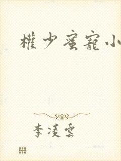 权少蜜宠小娇妻