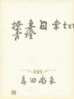 撩妻日常txt青灯