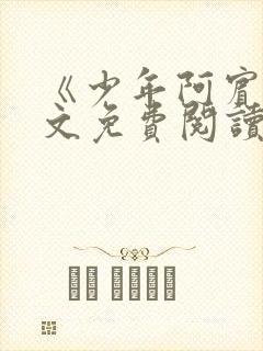 《少年阿宾》全文免费阅读
