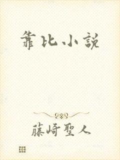 靠比小说封面