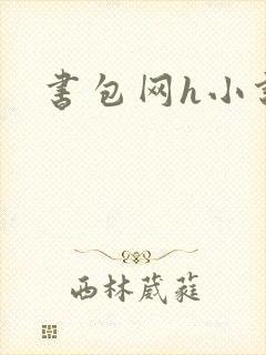 书包网h小说