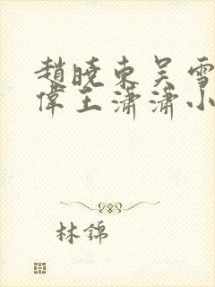 赵晓东吴雪晴郑伟王潇潇小说名字封面