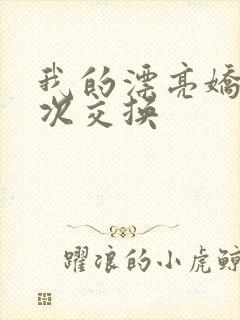 我的漂亮娇妻初次交换