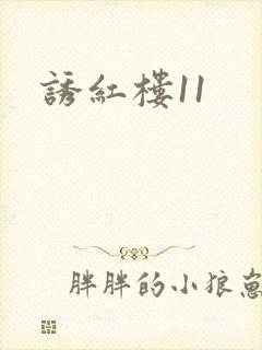 诱红楼11