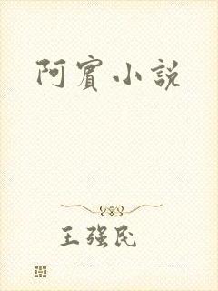 阿宾小说