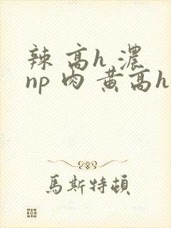 辣 高h 浓 np 肉 黄高h