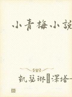 小青梅小说