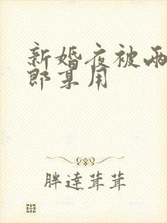 新婚夜被两个伴郎享用