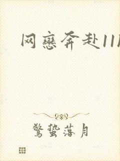 网恋奔赴11h