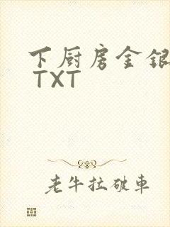 下厨房金银花露 TXT