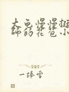 大龟慢慢挺进老师的花苞小说