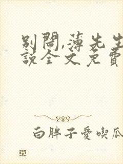 别闹,薄先生小说全文免费阅读