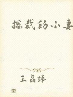 总裁的小妻子