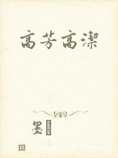 高芳高洁封面