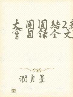 大团圆结2亲情会目录全文阅读视频