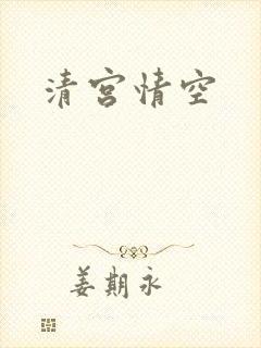 清宫情空封面
