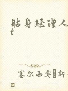 贴身经理人txt封面