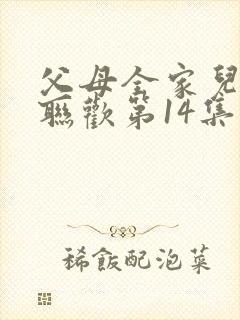 父母全家儿女大联欢第14集封面