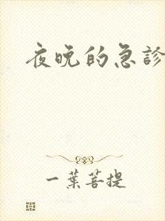 夜晚的急诊室2