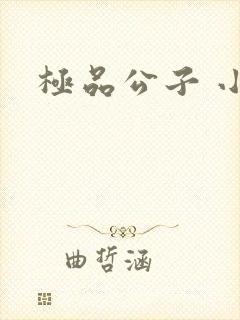 极品公子 小说