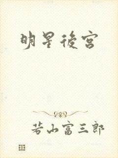 明星后宫