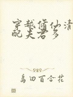 穿越修仙清纯女配夫君多封面