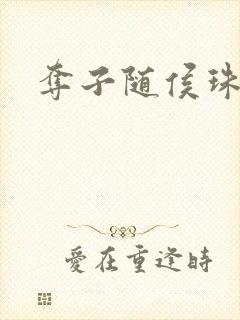 夺子随侯珠封面