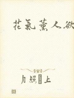 花气薰人欲破禅封面