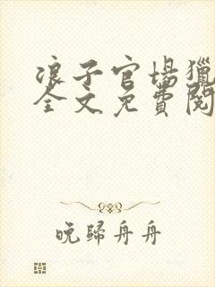 浪子官场猎艳记全文免费阅读