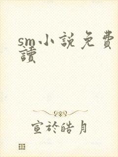 sm小说免费阅读