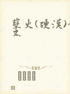 孽火(硬汉)今又