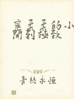宁柔柔的小泬撑开到极致