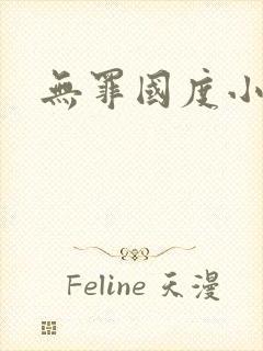 无罪国度小说