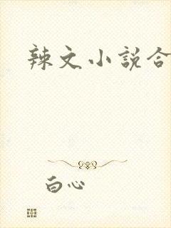 辣文小说合集