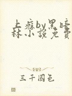 上瘾by黑暗森林小说免费