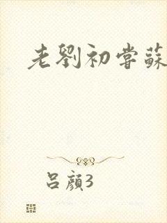 老刘初尝苏荷媳