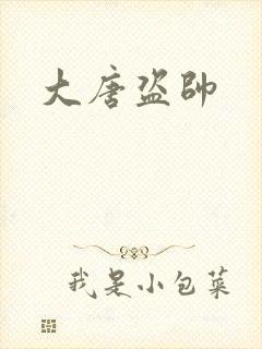 大唐盗帅