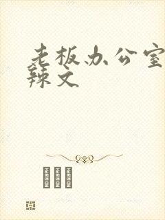 老板办公室系列辣文封面