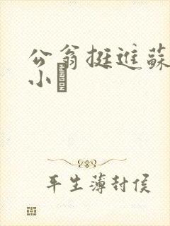 公翁挺进苏玥的小泬