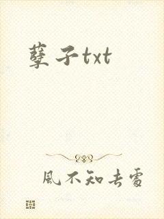 孽子txt封面